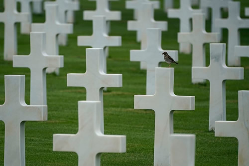Normandy
